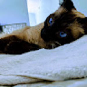 Meet your Posher, Mae